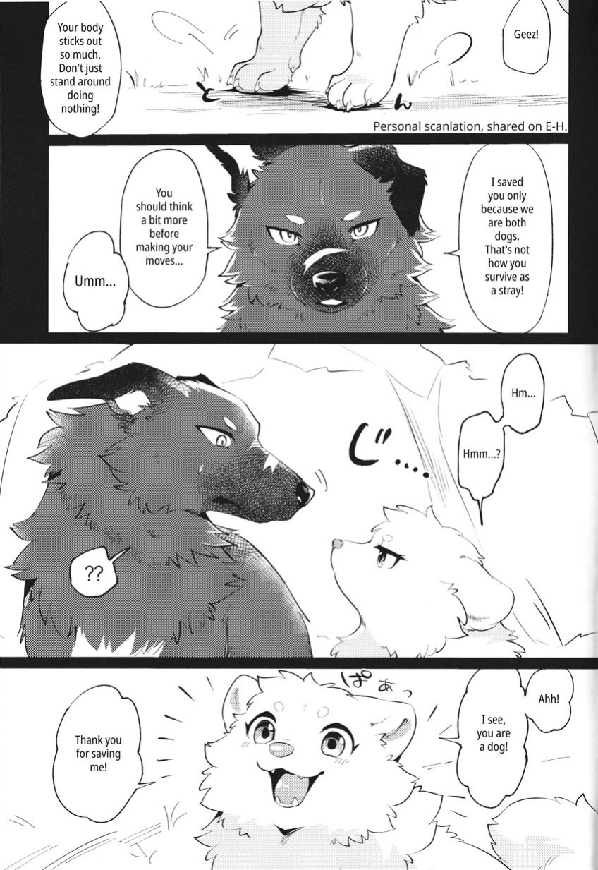 (Kemoket 14) [Kaiten ParaDOGs (Minaga Tsukune)] Kokoro Karu Made | The Tanuki and the Hound