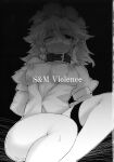 (C78) [BURUMAN (Tajima Yuki)] S&M Violence (Touhou Project) =LWB=