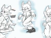 [DanHabikitiki] Rouge the Ghostly Bat Thief Doodles