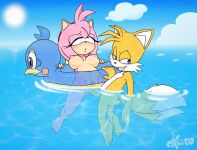 [Excito] Amys Beachside Mischief (Sonic the Hedgehog)
