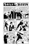 [Adolphe Barreaux] Sally the Sleuth [English]