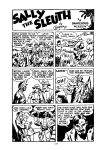 [Adolphe Barreaux] Sally the Sleuth [English]
