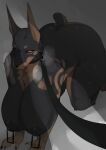 lVlirror Collection [2020-2026/05]