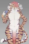 lVlirror Collection [2020-2026/05]
