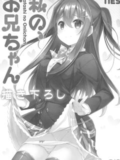 (C94) [TIES (Takei Ooki)] Watashi no, Onii-chan Kakioroshi (Watashi no, Onii-chan Soushuuhen) {Faux} Preview