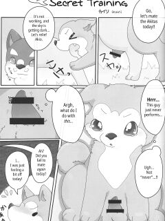 (Kansai! Kemoket 3) [PPOINO! (Kairi)] Bodako-san no Himitsu no Training | Bordacol-san's Secret Training (Boda kon)