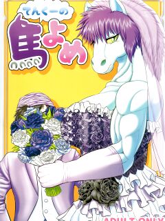 (Kansai! Kemoket 5) [Seiitsukyou (Goto-Beido)] Tenkuu no Uma Yome (Dragon Quest V) [AkazaChan]