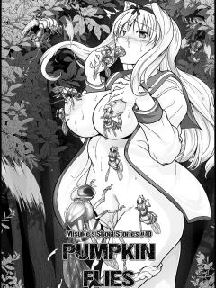 [Tiba-Santi (Misuke)] Misuke's Short Stories 10 - Pumpkin Flies (ToHeart2 Dungeon Travelers)