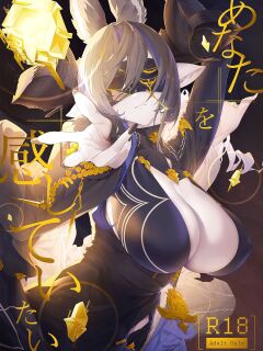 [Niku Sekai (Io)] Anata o Kanjiteitai | I Want To Feel You (Granblue Fantasy)