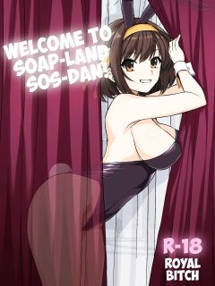 [Royal Bitch (Haruhisky)] Welcome to Soap-land SOS-Dan! (The Melancholy of Haruhi Suzumiya) {Awesome Sauce}