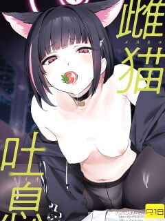 [Camrism (Kito Sakeru)] Mesuneko Toiki (Blue Archive) [SDF]