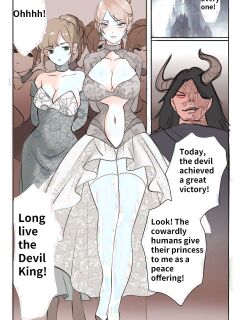 [Midnight] Princess Strike Back