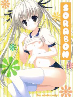 (SC50) [THE FLYERS (Naruse Mamoru)] Sorabon (Yosuga no Sora) [TRJR]