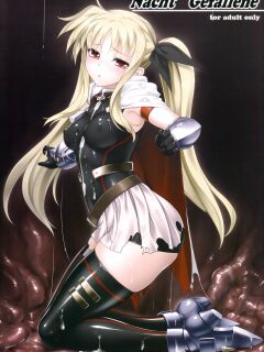 (C85) [Kuroi Miyako (Rindou, Kuroi Hiroki)] Nacht Gefallene (Mahou Shoujo Lyrical Nanoha) {Hennojin}