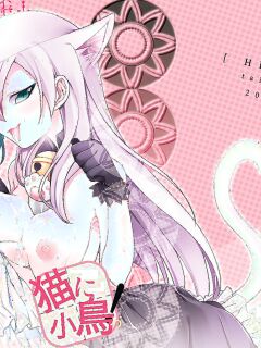 The Cat and the Bird! [Hirusuta (Taira Kosaka)]