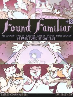 Found Familiar Preview