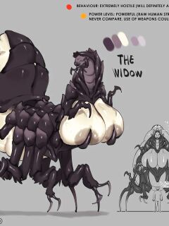 [ZeBlackBallD] THE WIDOW