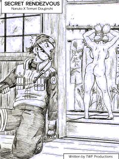 (TheWriteFiction)(Naruto) Naruto Secret Rendezvous