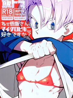 (ShotaFes 17) [Article 60 of Criminal Code (Shuhan)] Nee Gohan-san Micro Bikini Suki desu ka? | Hey Gohan, Do You Like Microbikinis? (Dragon Ball Z) {Chin²}