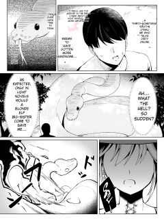 Isekai Tensei shitara Seiyoku MAX Majo ni Osoware Doutei Sotsugyou Shichaimashita | Digital