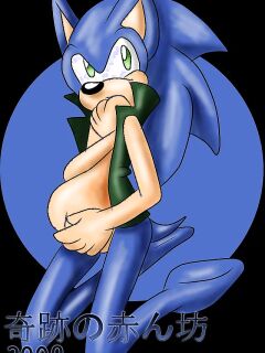 SonicRemix's Sonic Mpreg Art